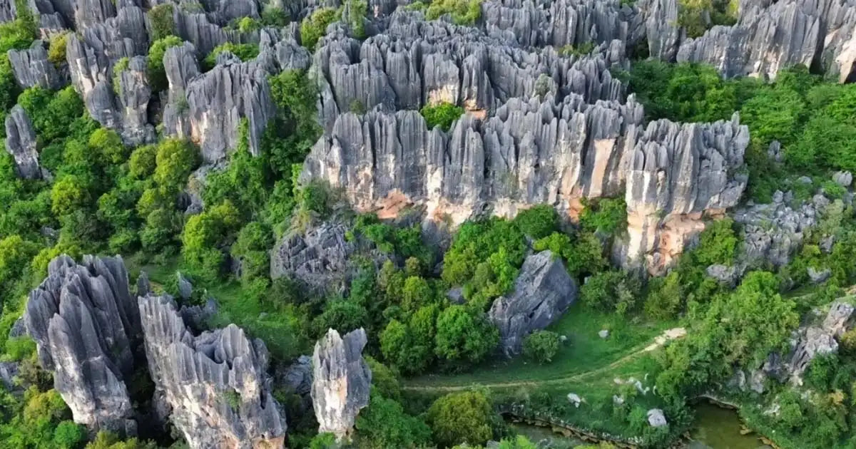 Panoramic view of the sword-shaped limestone peaks at Stone Forest in Kunming, Yunnan, a UNESCO World Heritage site.