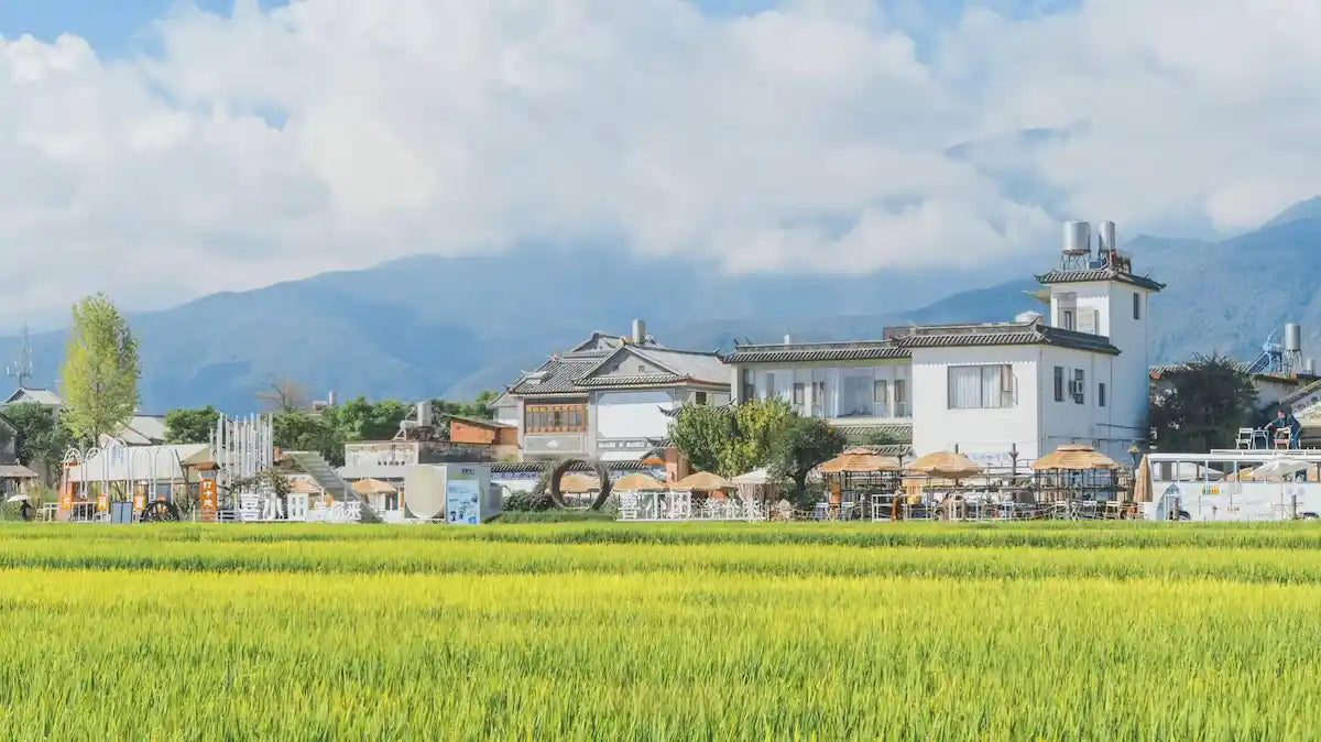 Aerial view of Xizhou Ancient Town featuring traditional Bai architecture.