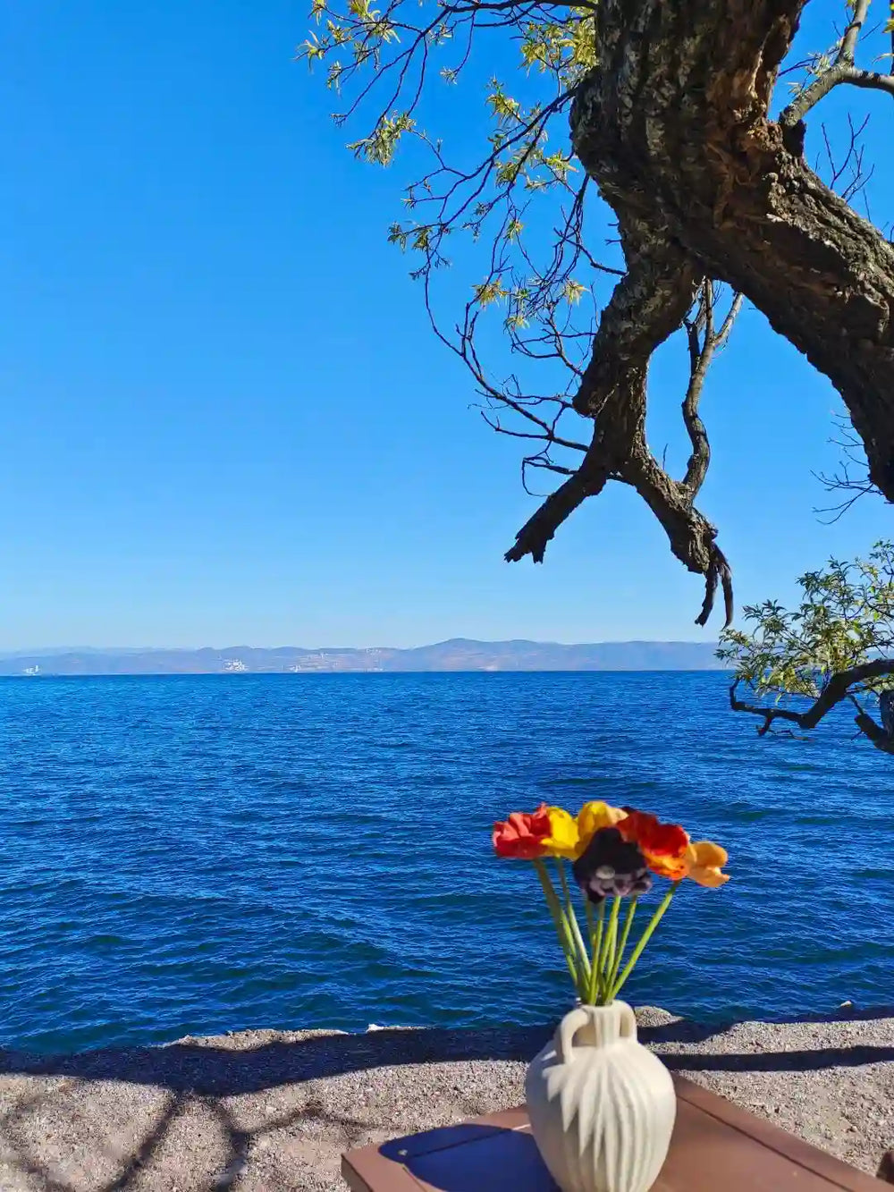 Tour Fuxian Lake Luchong Scenic Area	