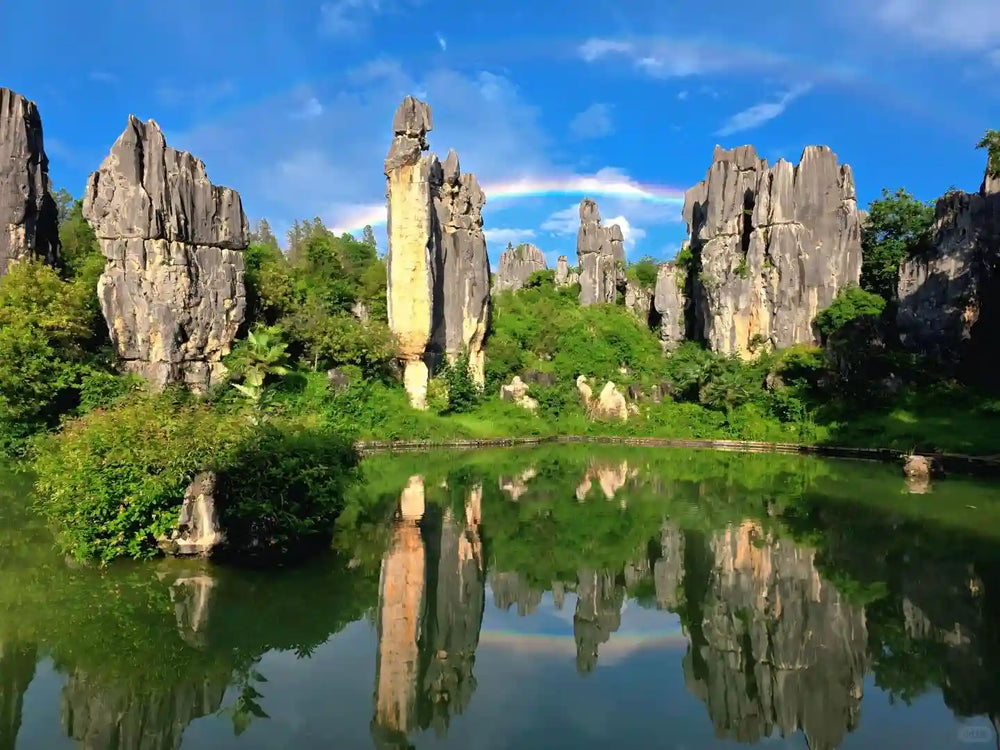 Tour Stone Forest