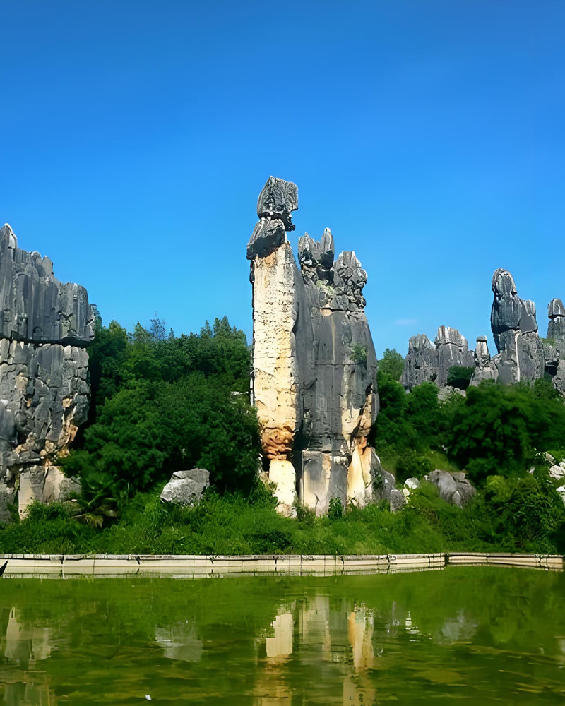 Kunming Stone Forest & Jiuxiang Cave 1-Day Private Tour