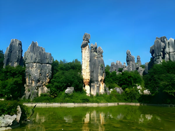 Kunming Stone Forest & Jiuxiang Cave 1-Day Private Tour