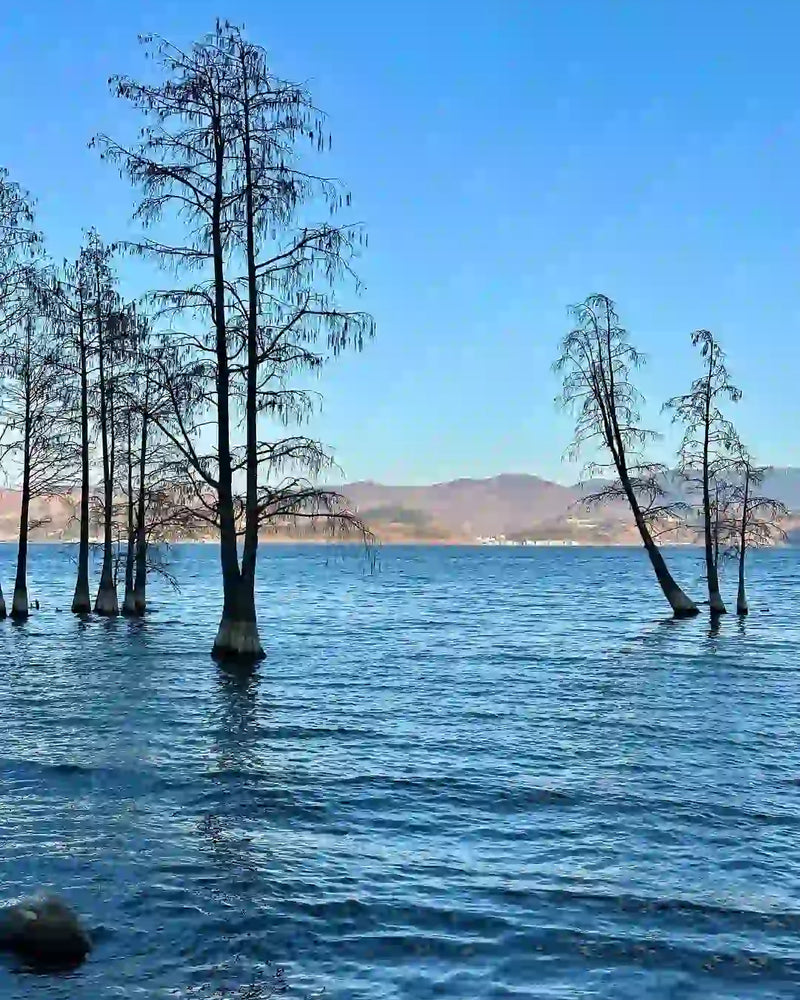 Dali Cangshan Mountain, Gantong Cableway, Erhai Lake Cruise, Shuanglang, Nanzhao Folk Island & Xizhou Ancient Town 1-Day Private Tour