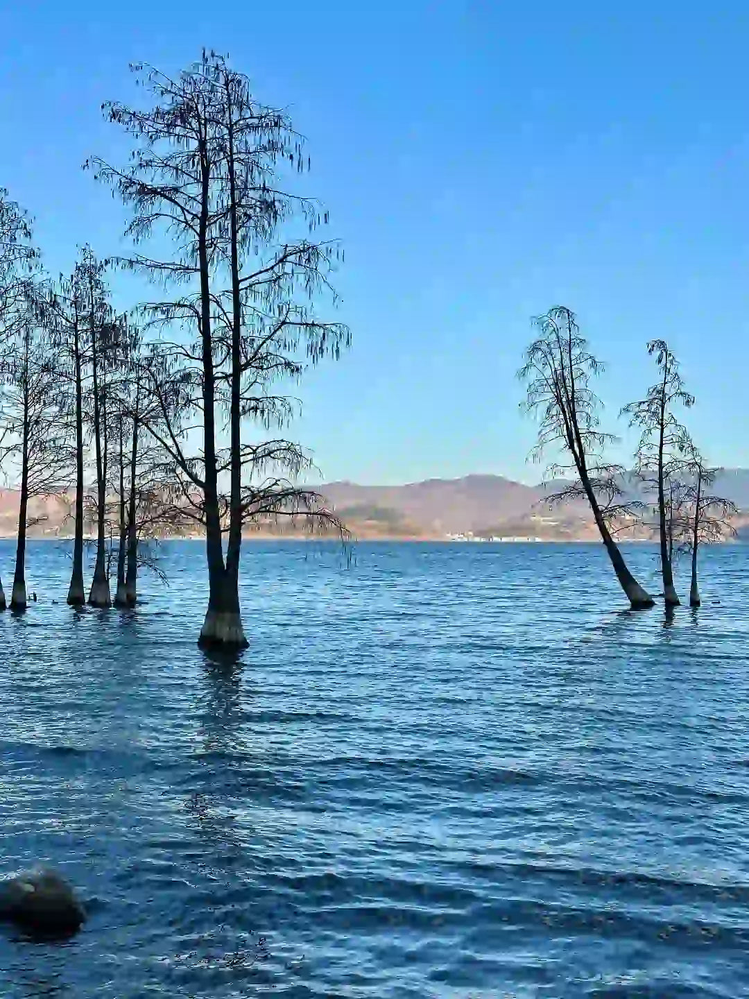 Dali Cangshan Mountain, Gantong Cableway, Erhai Lake Cruise, Shuanglang, Nanzhao Folk Island & Xizhou Ancient Town 1-Day Private Tour