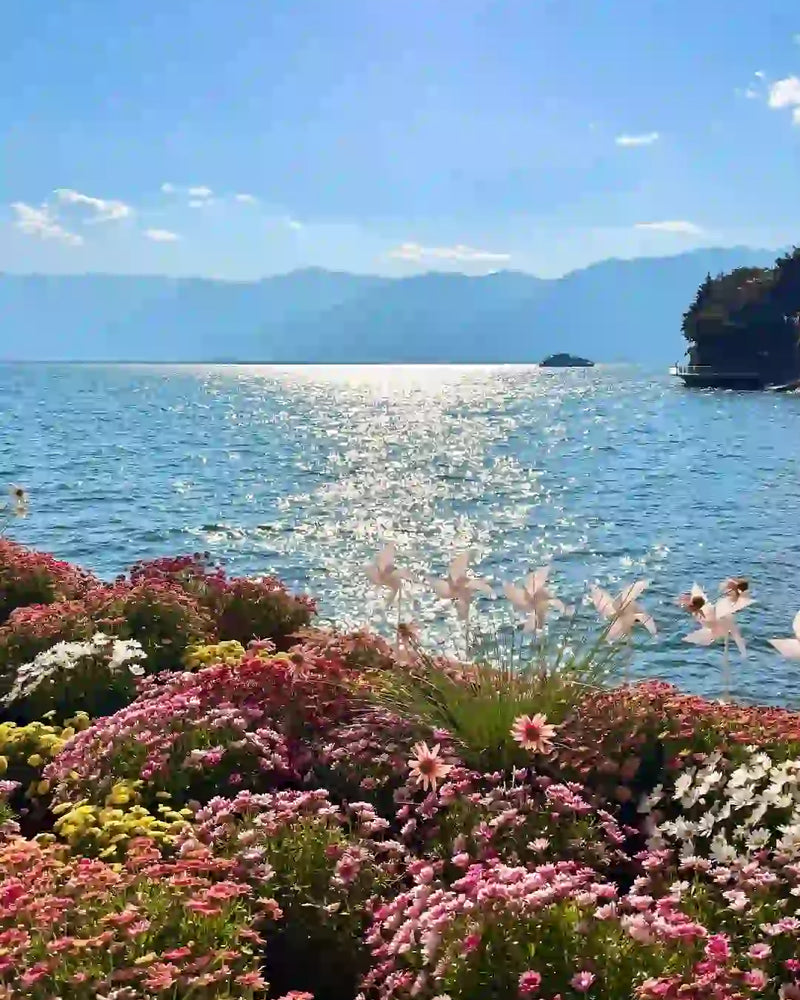 Dali Erhai Lake, Shuanglang, Xizhou Ancient Town & Little Putuo 1-Day Private Tour