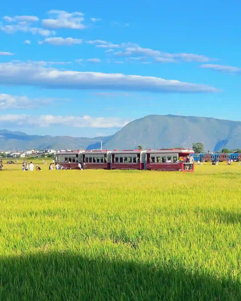 Dali Erhai Lake, Xizhou Ancient Town, Shuanglang, Little Putuo & Ideal State 1-Day Private Tour