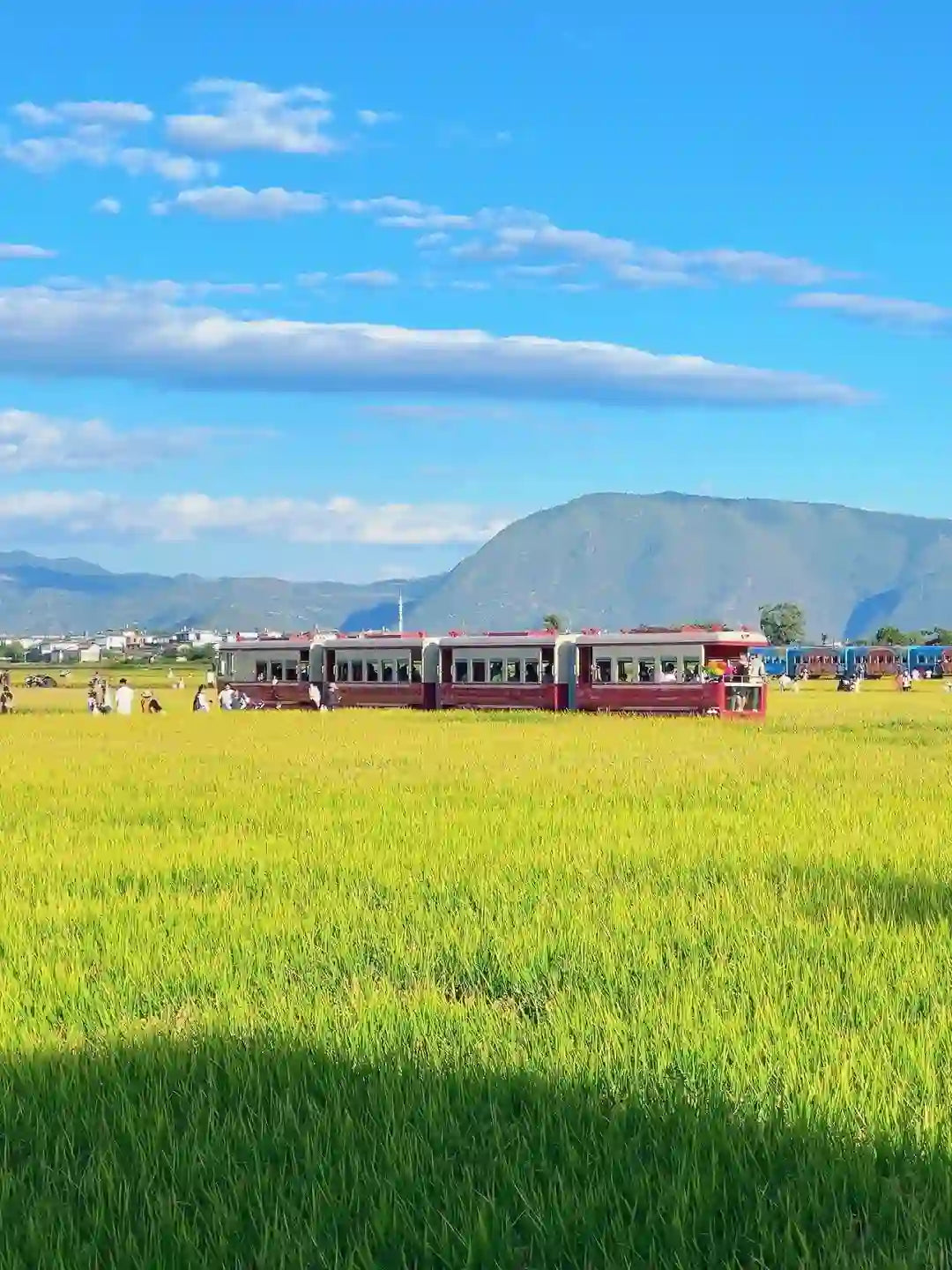 Dali Erhai Lake, Xizhou Ancient Town, Shuanglang, Little Putuo & Ideal State 1-Day Private Tour