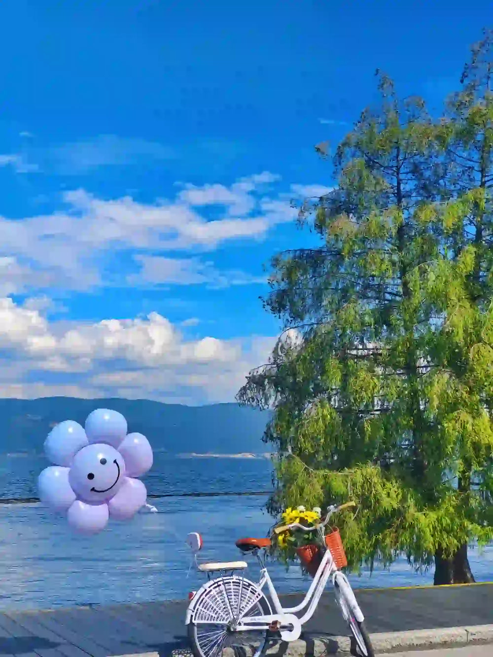 Head for Erhai Lake