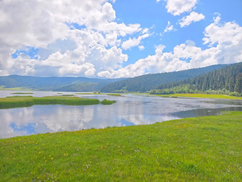 Luxury SUV Exploration: The Secrets of Pudacuo