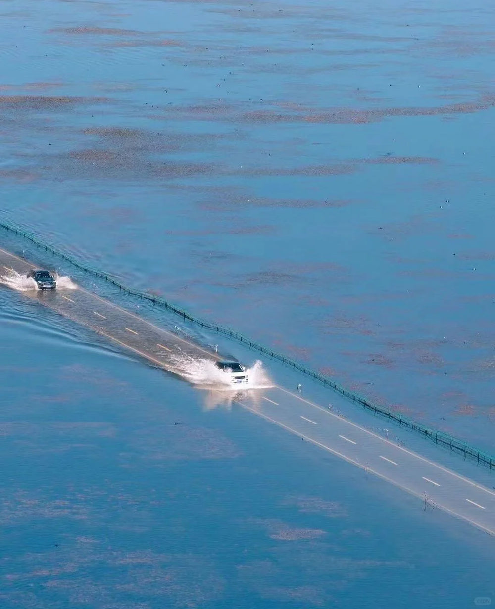 Surreal Drive: Napa Sea "Water Highway"