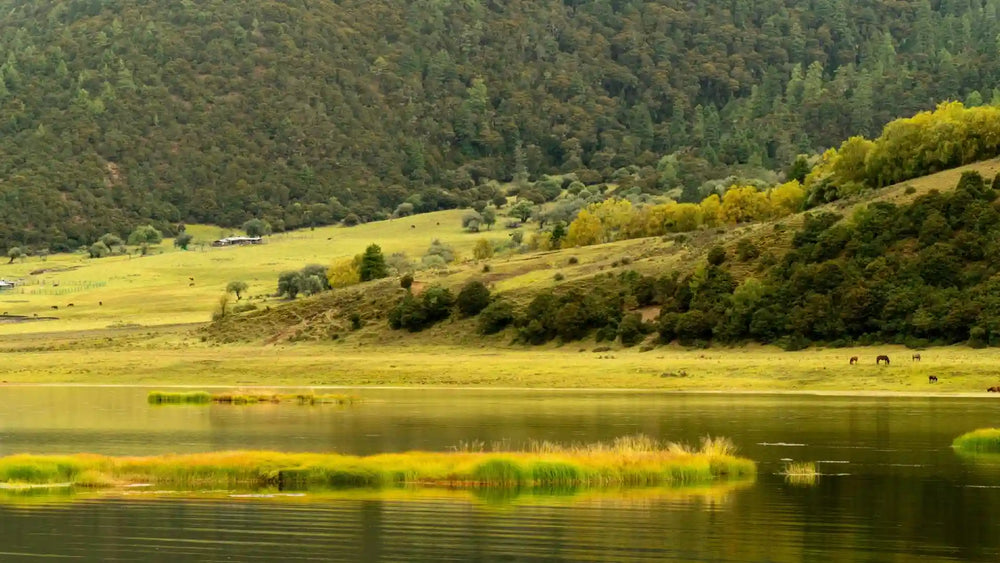 Luxury SUV Exploration: The Secrets of Pudacuo