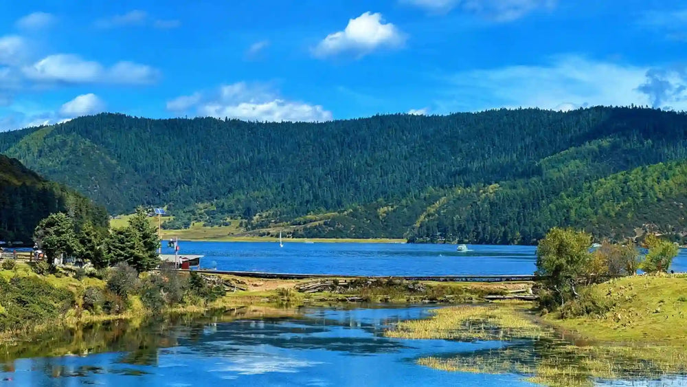 Luxury SUV Exploration: The Secrets of Pudacuo