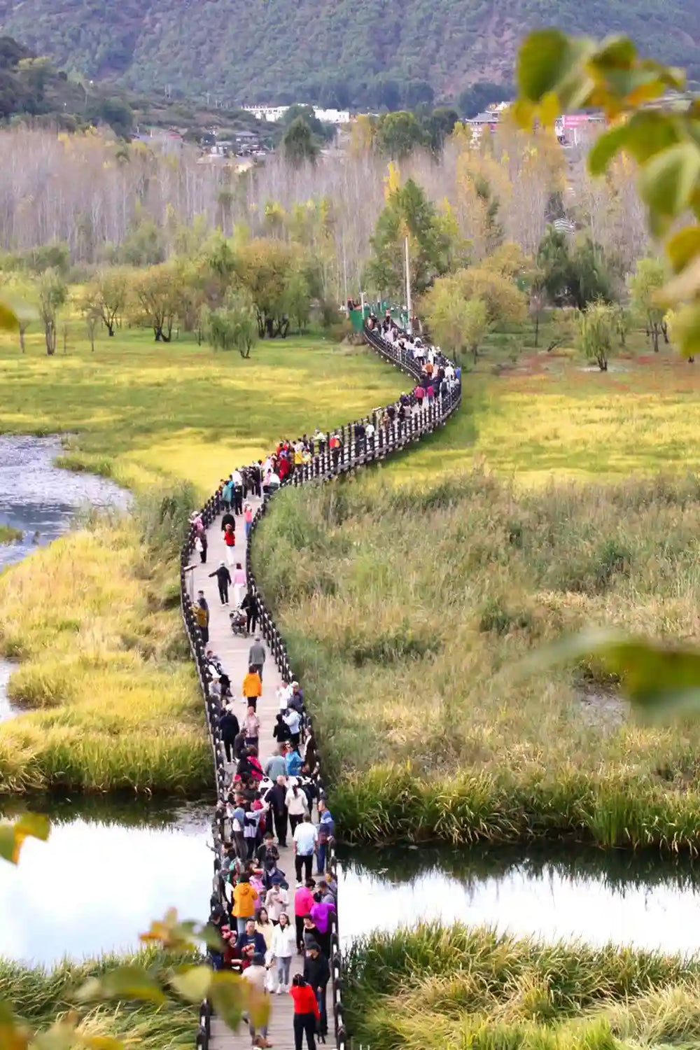 Visit the Grass Sea and the Walking Marriage Bridge.