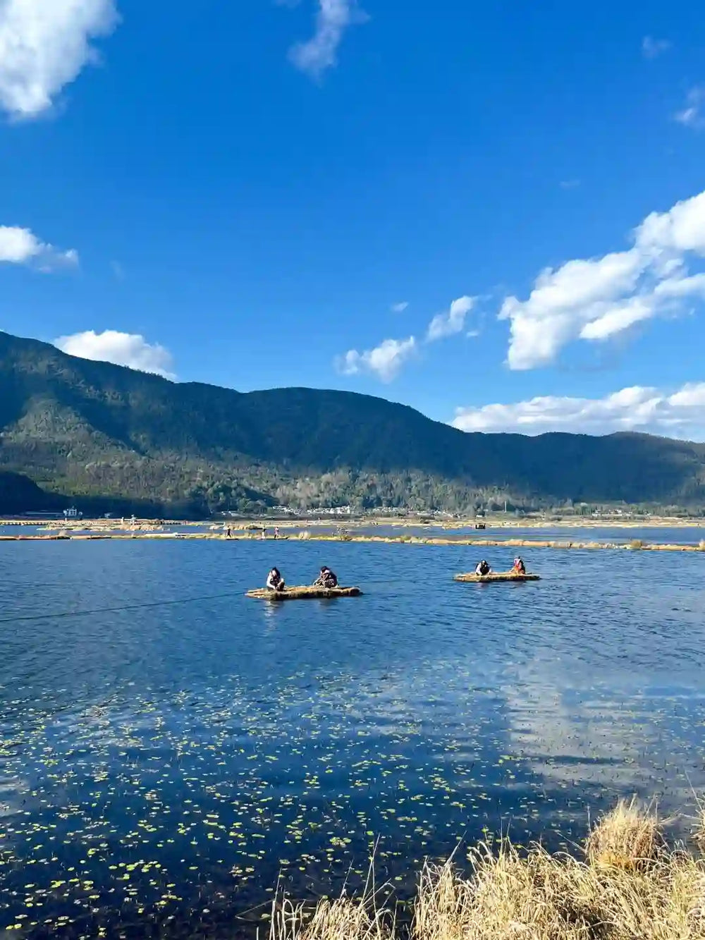 Beihai Wetland