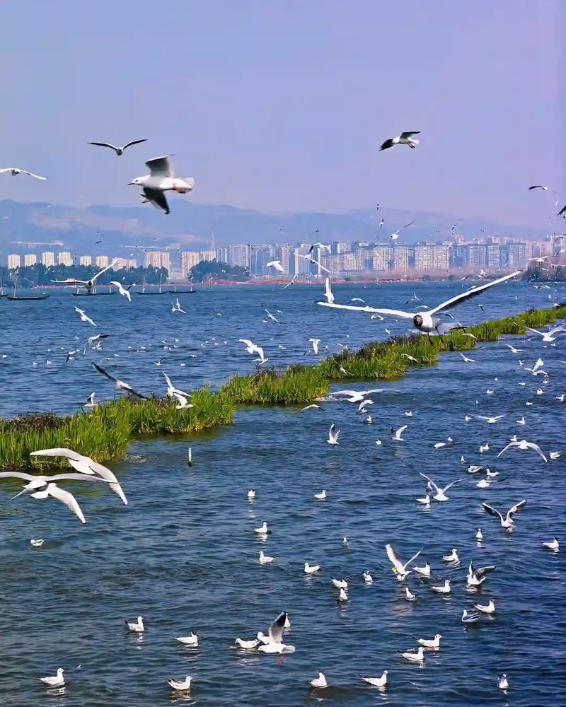 Kunming Western Hills, Haigeng Dam & Yunnan Ethnic Village 1-Day Private Tour