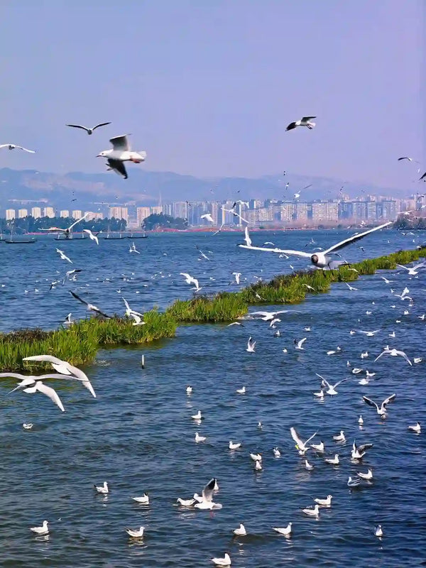 Kunming Western Hills, Haigeng Dam & Yunnan Ethnic Village 1-Day Private Tour