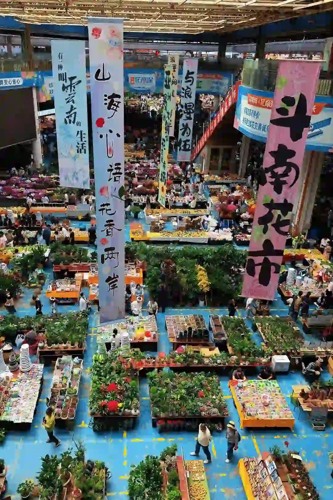 Kunming Provincial Museum & Dounan Flower Market 1-Day Private Tour