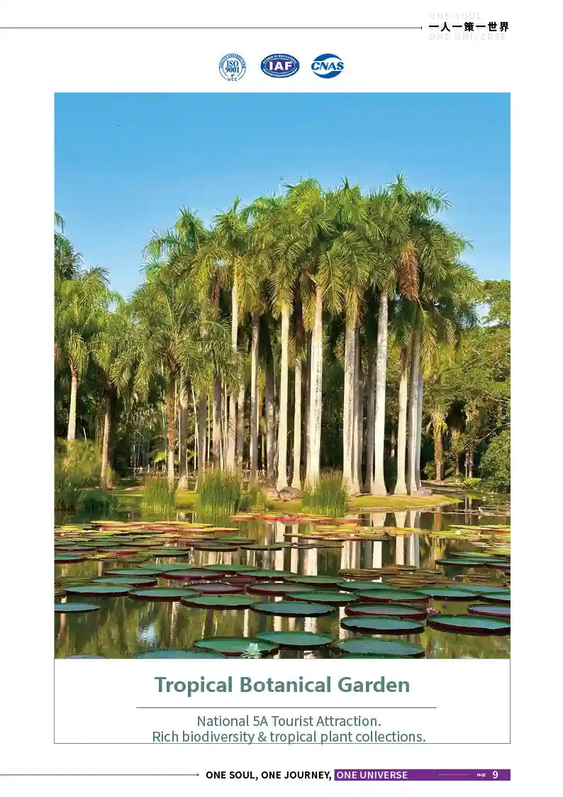 Kunming, Dali, Shangri-La, Lijiang & Xishuangbanna 12-Day Private Tour image 9