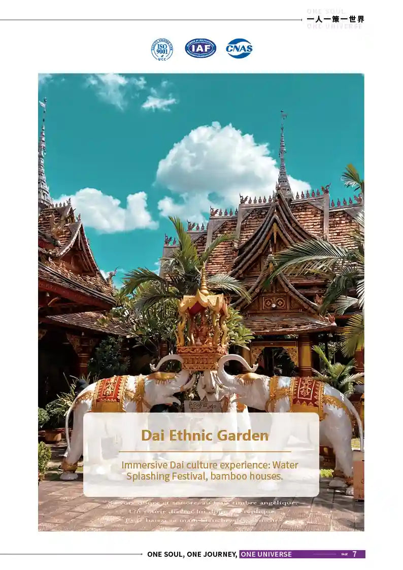 Kunming, Mojiang, Pu’er & Xishuangbanna 8-Day Private Tour image 7