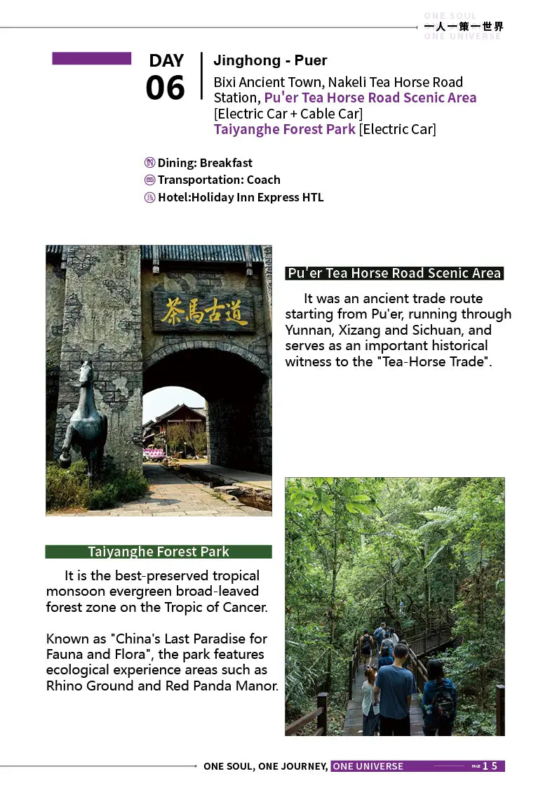 Kunming, Mojiang, Pu’er & Xishuangbanna 8-Day Private Tour image 15