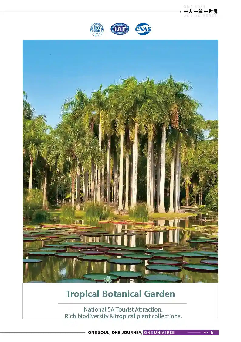 Kunming, Mojiang, Pu’er & Xishuangbanna 8-Day Private Tour image 5