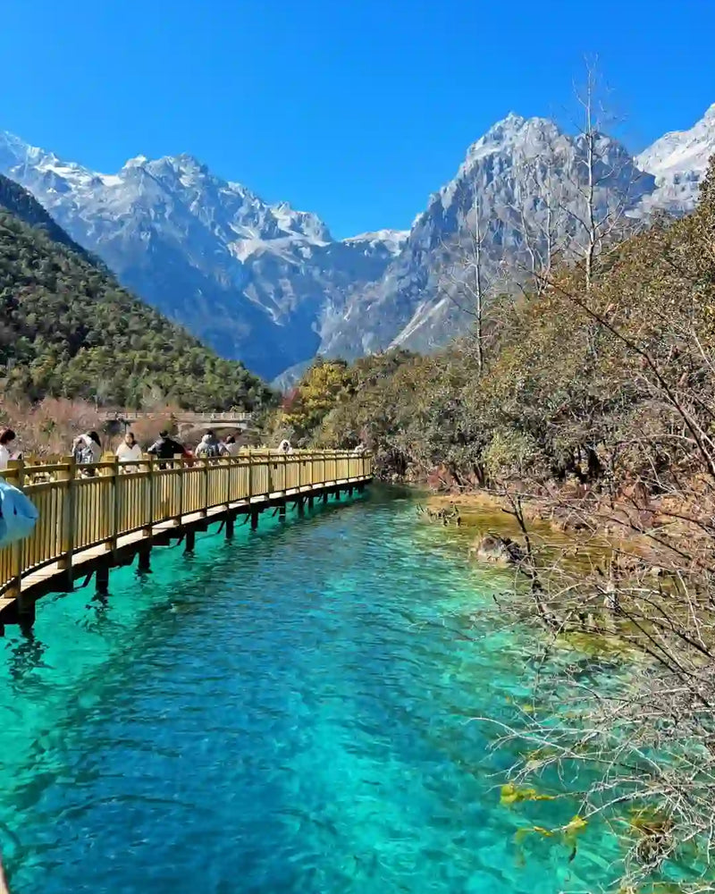 Lijiang Jade Dragon Snow Mountain Spruce Meadow, Blue Moon Valley & Shuhe Old Town 1-Day Private Tour