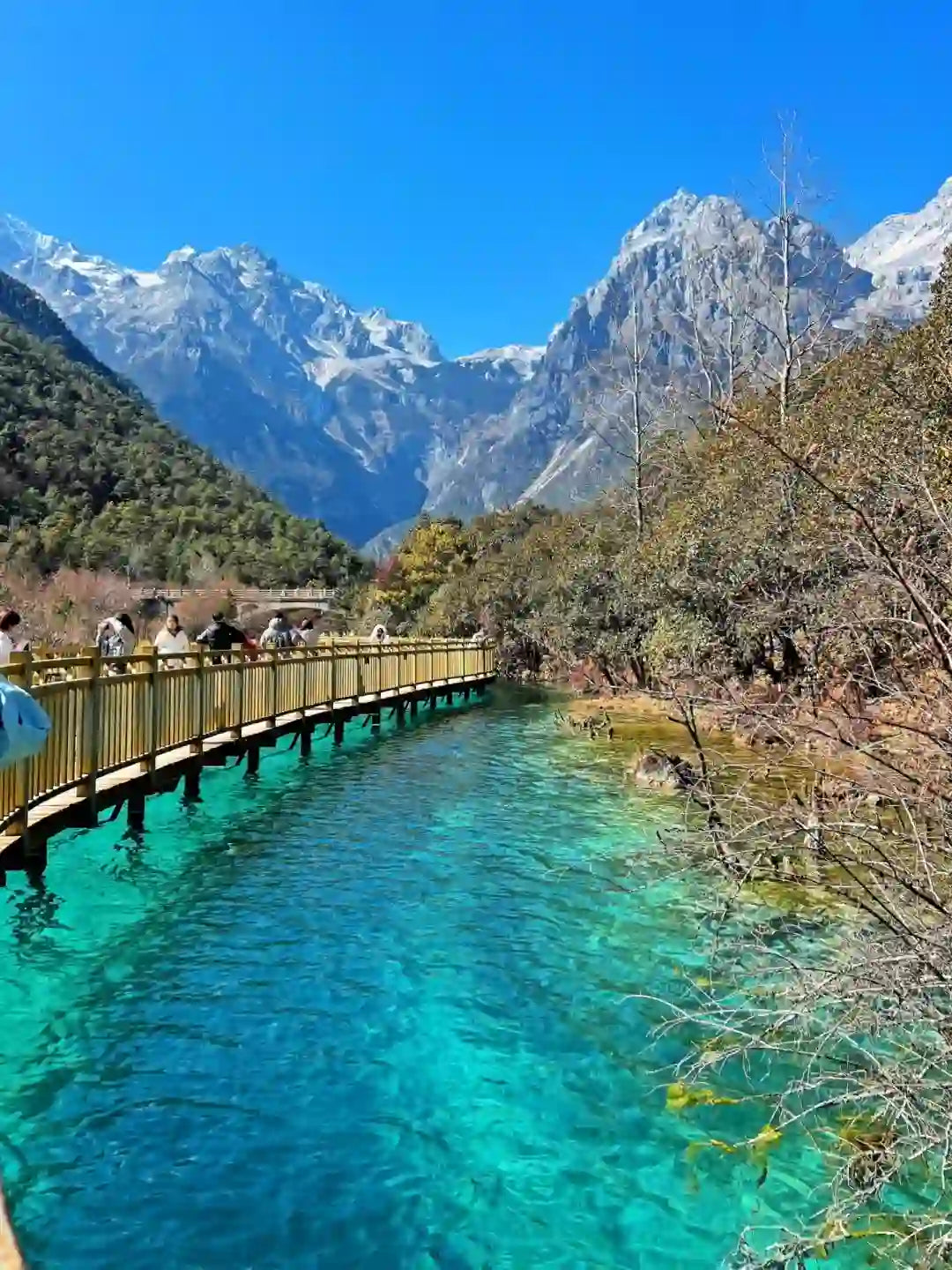 Lijiang Jade Dragon Snow Mountain Spruce Meadow, Blue Moon Valley & Shuhe Old Town 1-Day Private Tour