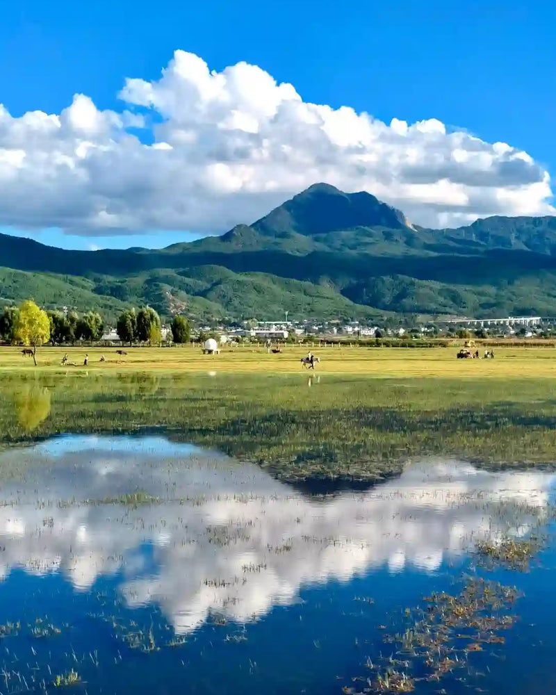 Lijiang Lashi Lake & Tiger Leaping Gorge (Shangri-La Section) 1-Day Private Tour