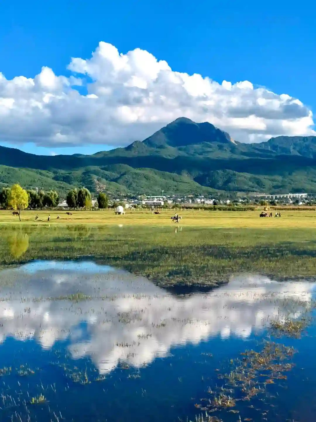 Lijiang Lashi Lake & Tiger Leaping Gorge (Shangri-La Section) 1-Day Private Tour
