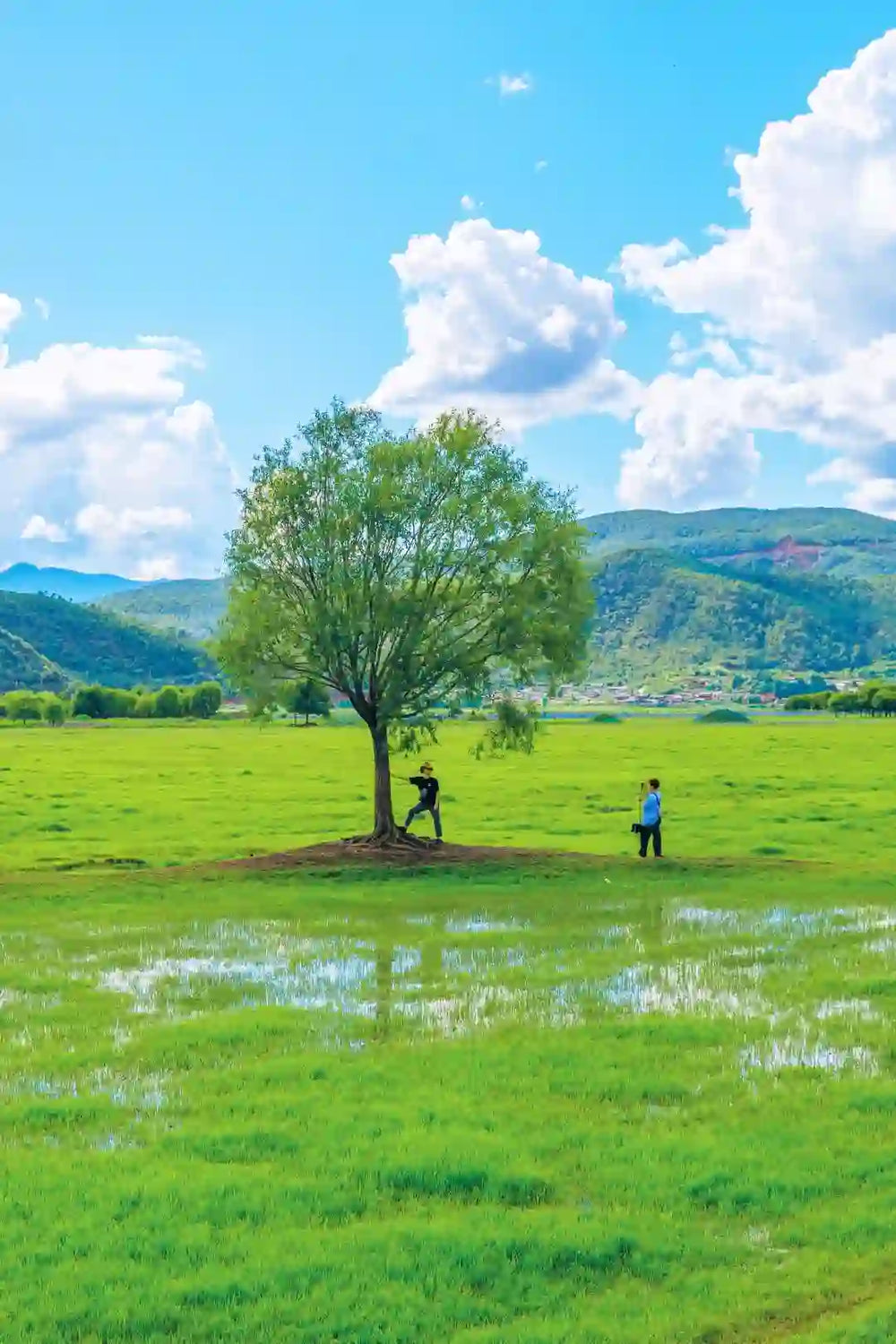 Depart for Lashihai Lake
