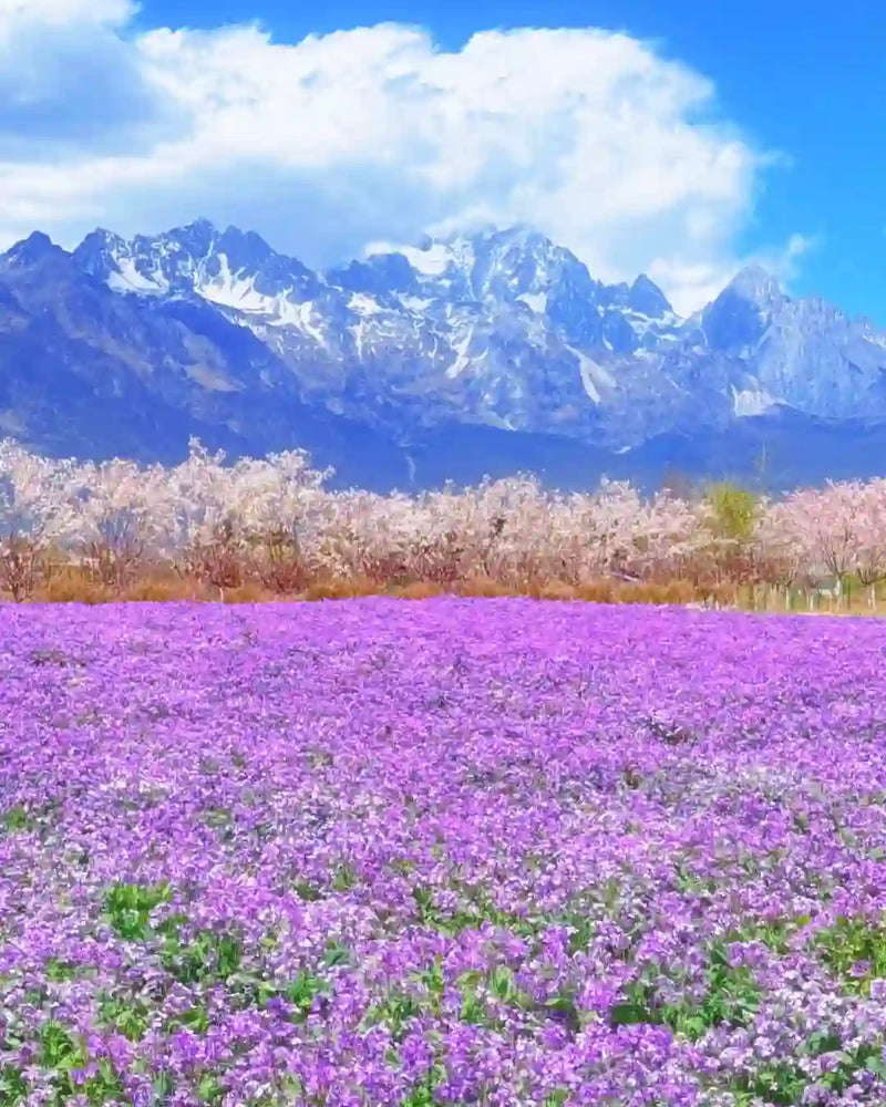 Lijiang to Shangri-La 5-Day Private Tour