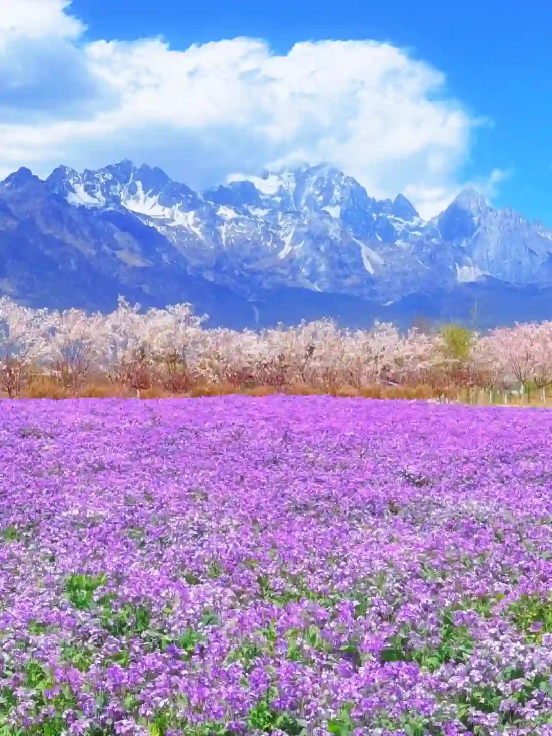 Lijiang to Shangri-La 5-Day Private Tour