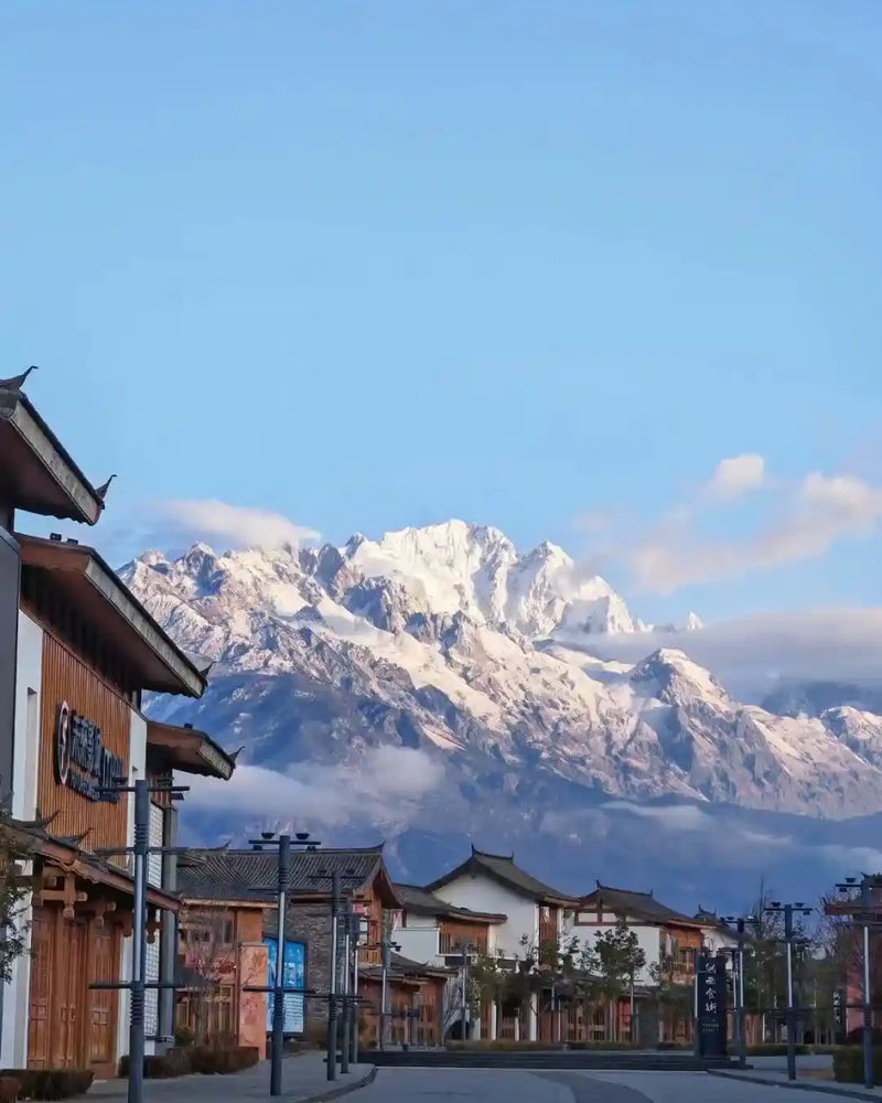 Jade Dragon Snow Mountain Private Day Tour from Lijiang