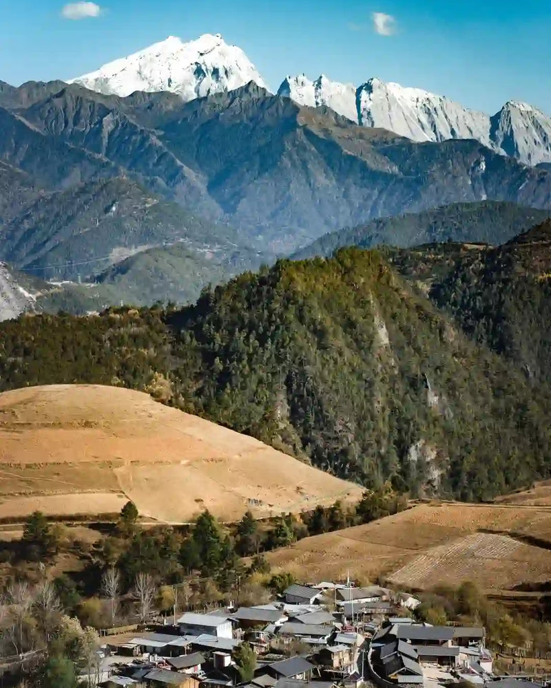 Shangri-La Tiger Leaping Gorge, Haba Snow Mountain Viewpoint & Baishuitai 1-Day Private Tour