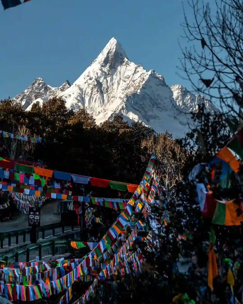 Shangri-La Meili Snow Mountain, Feilai Temple & Wunongding 1-Day Private Tour