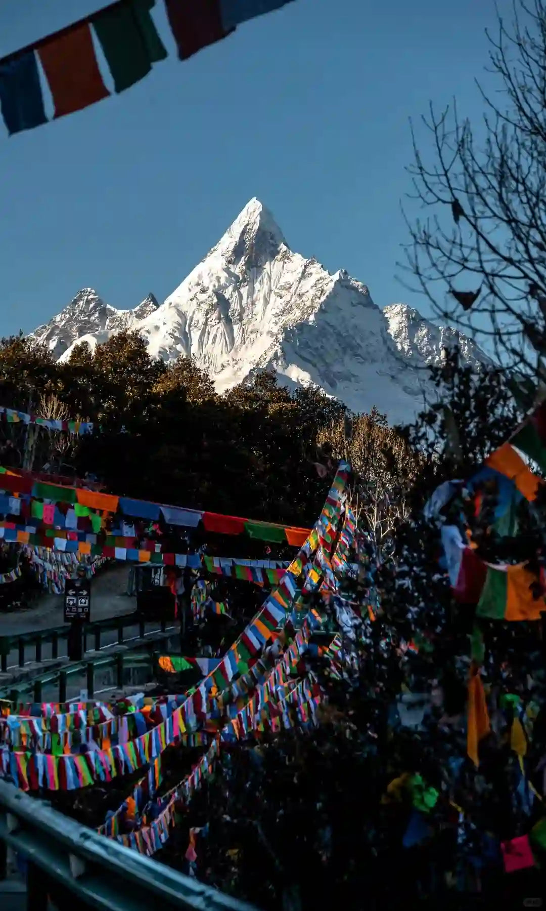 Shangri-La Meili Snow Mountain, Feilai Temple & Wunongding 1-Day Private Tour