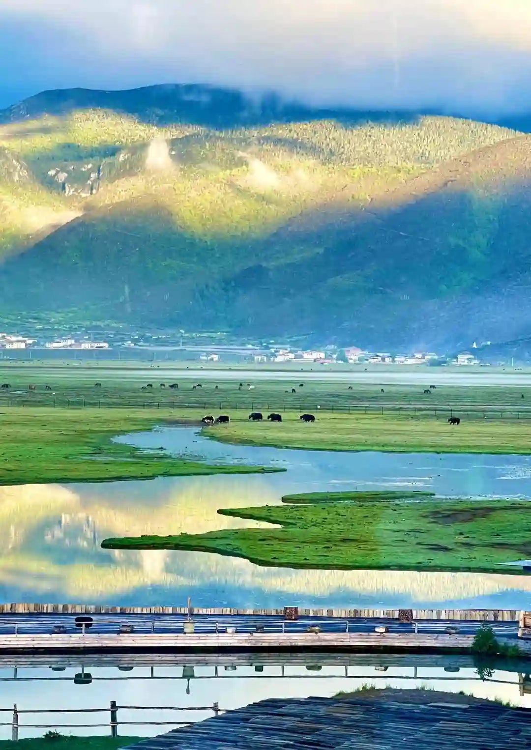 Shangri-La Napa Lake, Yila Grassland & Shika Snow Mountain 1-Day Private Tour