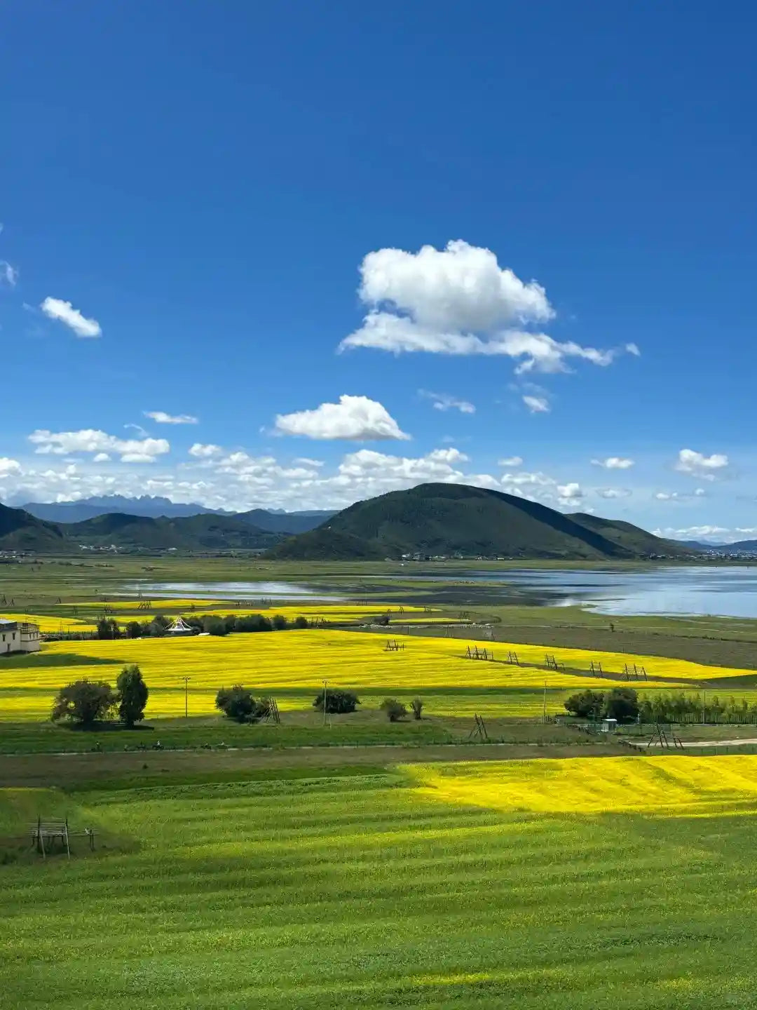 Shangri-La Pudacuo National Park & Songzanlin Monastery 1-Day Private Tour