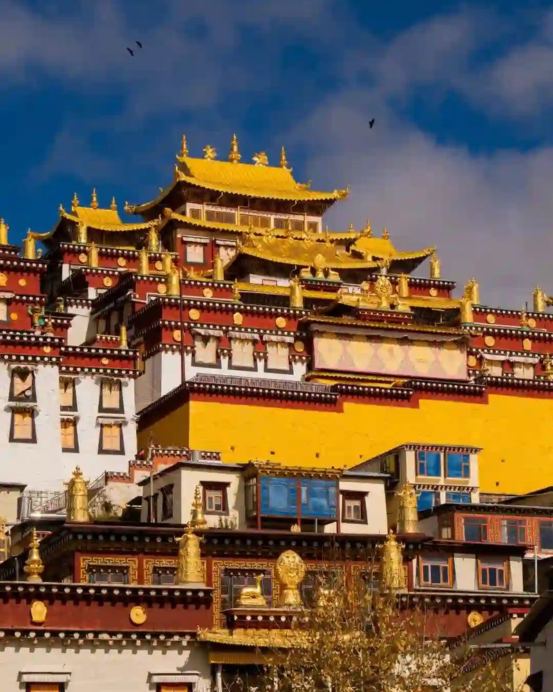 Shangri-La Tiger Leaping Gorge, Songzanlin Monastery & Dukezong Ancient Town 1-Day Private Tour