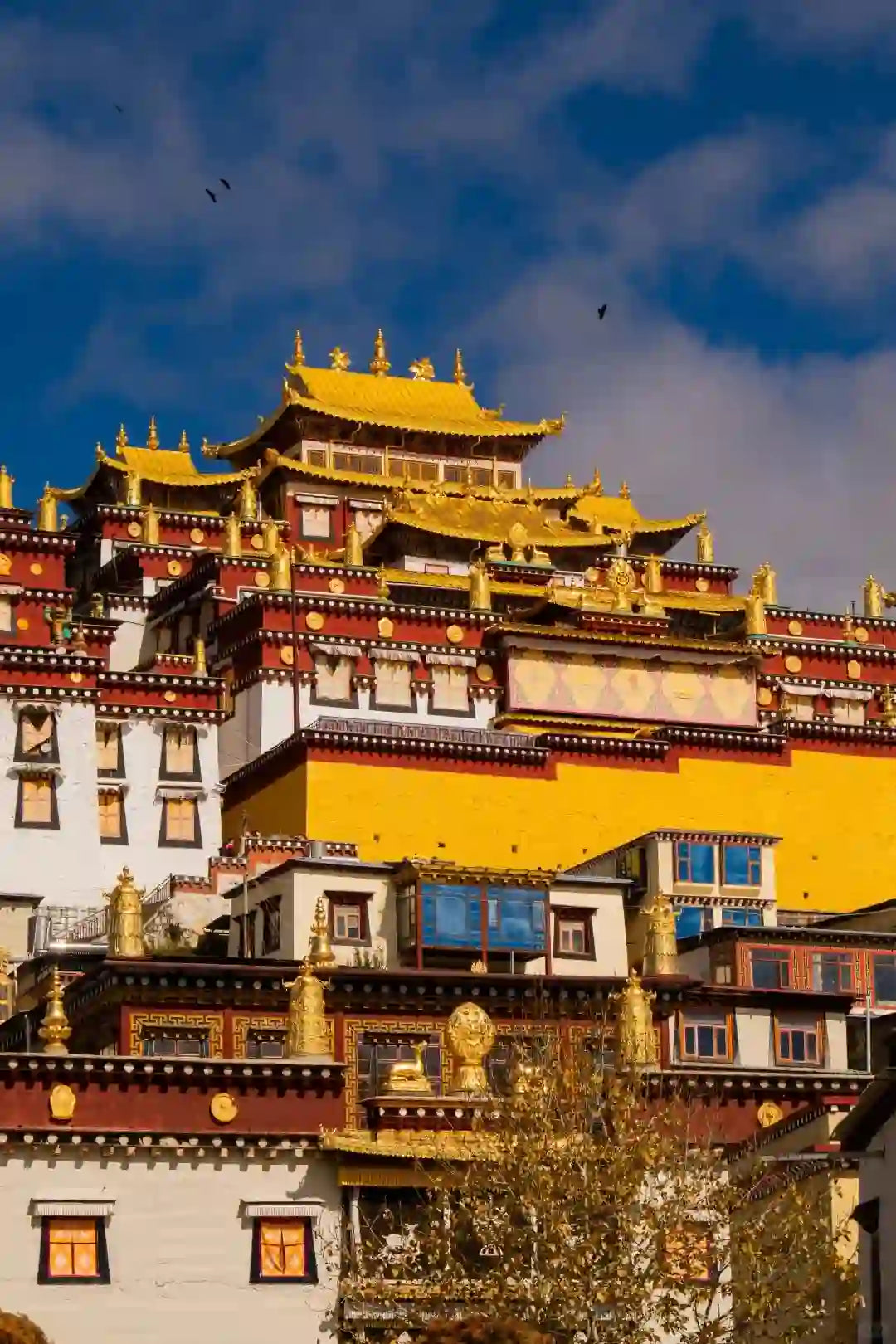 Shangri-La Tiger Leaping Gorge, Songzanlin Monastery & Dukezong Ancient Town 1-Day Private Tour