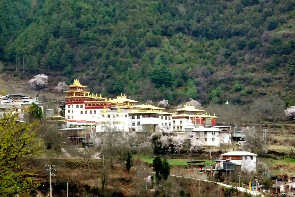 Hongpo Village: Thangka Art & Monastery Chants