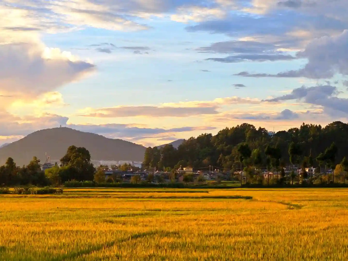 Tengchong 5-Day Luxury Retreat