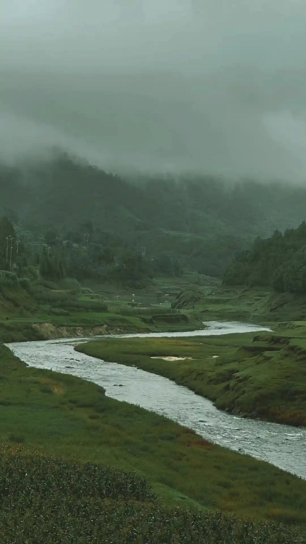 Eco-Trek & Valley Picnic: The Wilds of Gaoligong