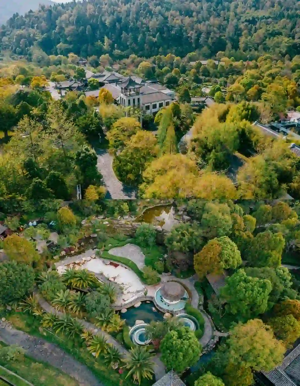 A Slow Morning: Giving Time Back to Time