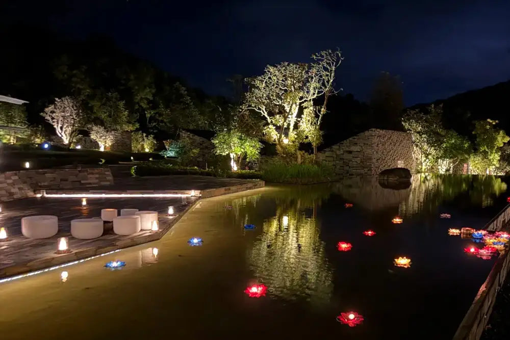 Night of Serenity: Lotus Lantern Ritual