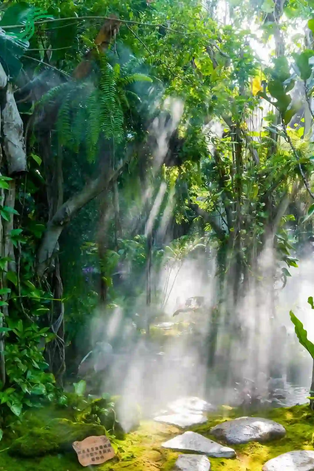 Xishuangbanna 5-Day Luxury Retreat