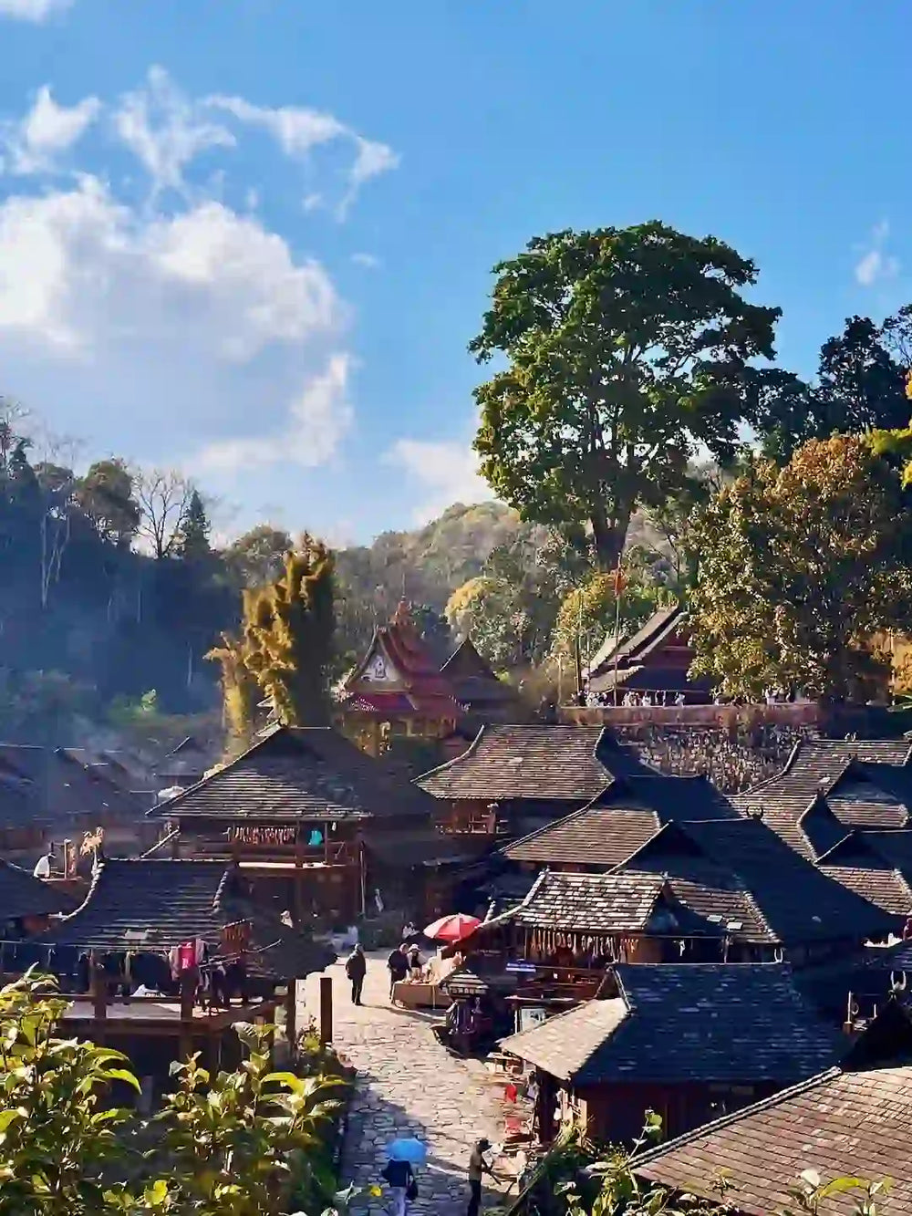 Cultural Footprints: Ancient Dai Village Visit